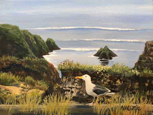 Mendocino Coast